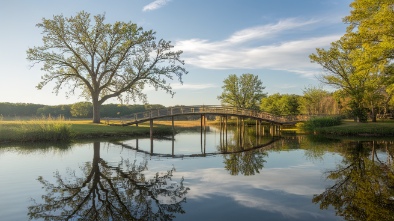 andy bowie county park