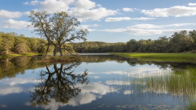 coleto creek park reservoir