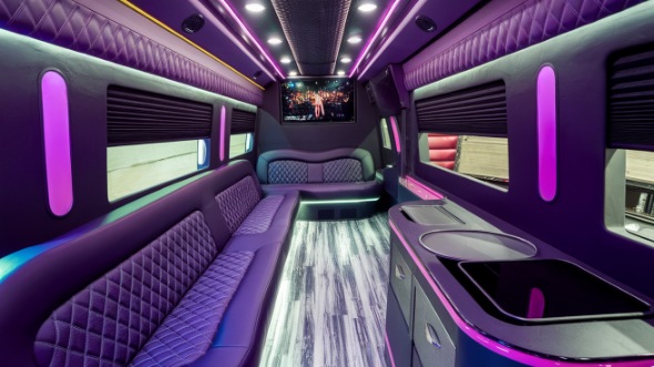 edinburg sprinter limo rental interior