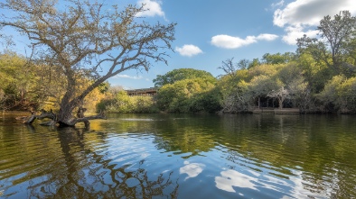 mcallen nature center