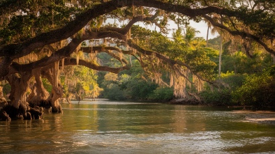 resaca de la palma state park